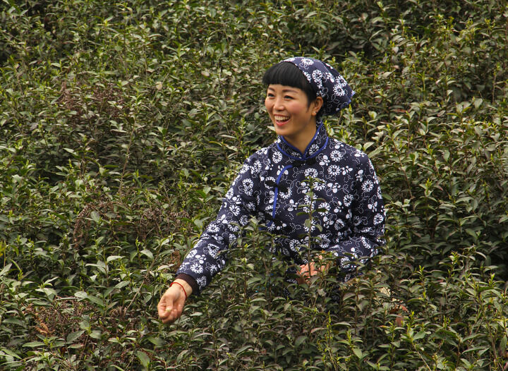百丽推荐9